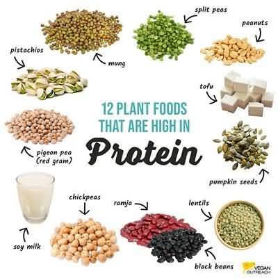 Calories and protein requirement